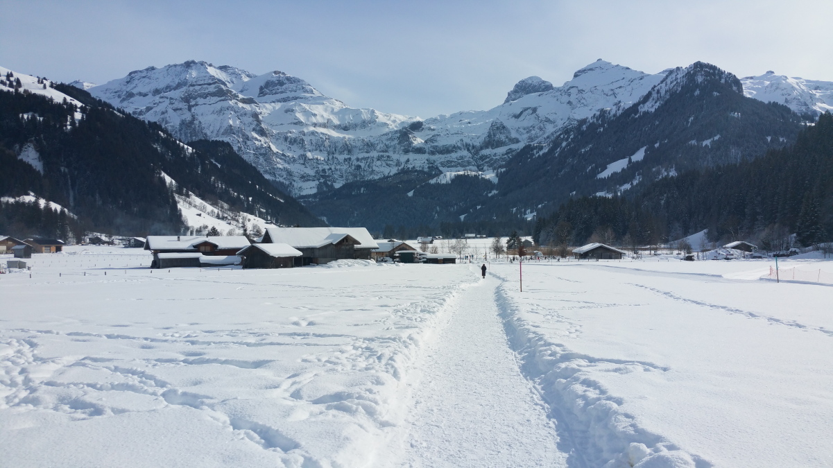 20190208_163532 (2)1